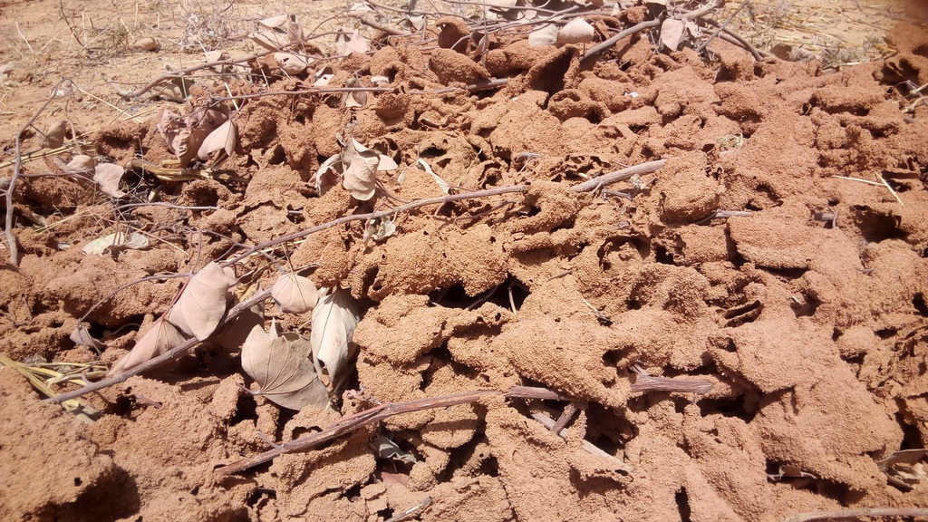 afbraak organisch materiaal