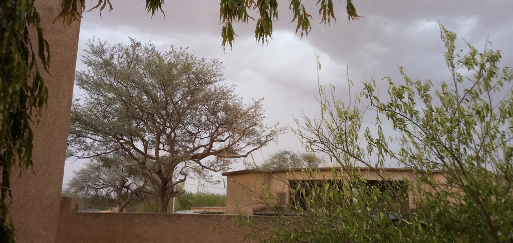 na de zandstorm in Maradi