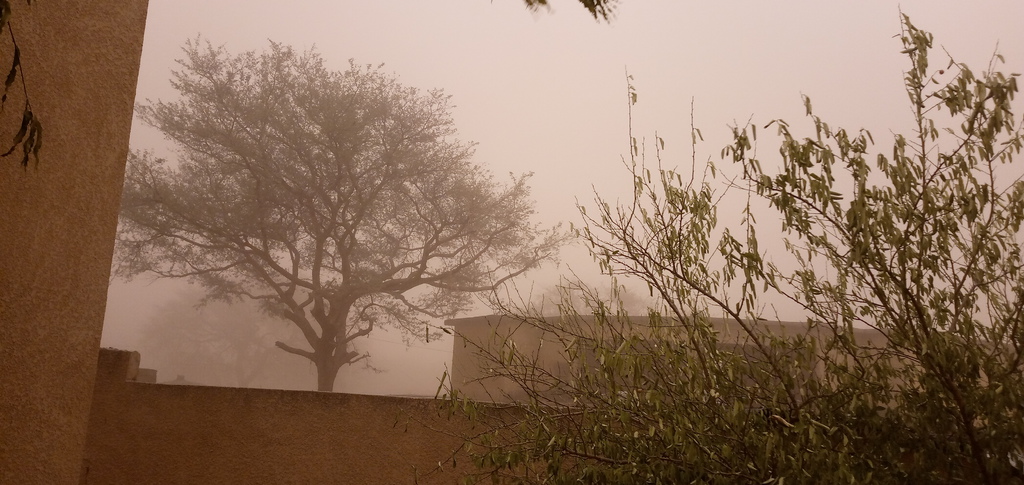 zandstorm in Maradi