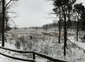 Geefactie Mirjam Baas